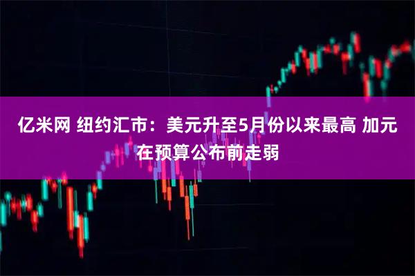 亿米网 纽约汇市:美元升至5月份以来最高 加元在预算公布前走弱