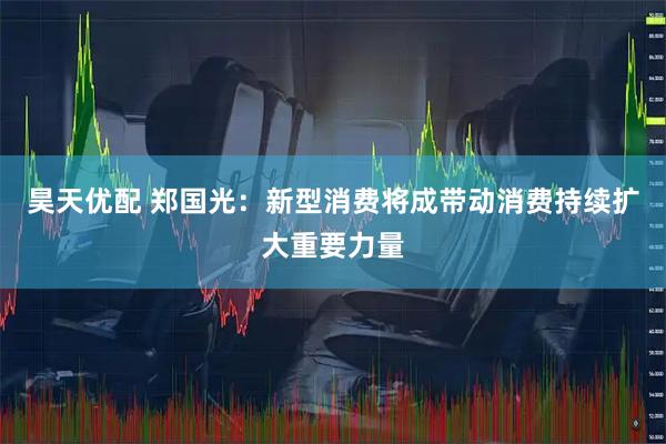 昊天优配 郑国光：新型消费将成带动消费持续扩大重要力量
