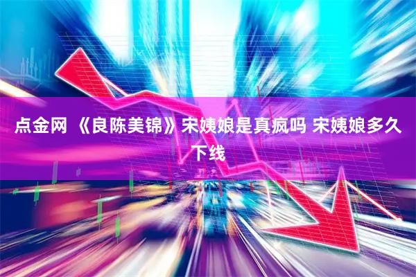 点金网 《良陈美锦》宋姨娘是真疯吗 宋姨娘多久下线