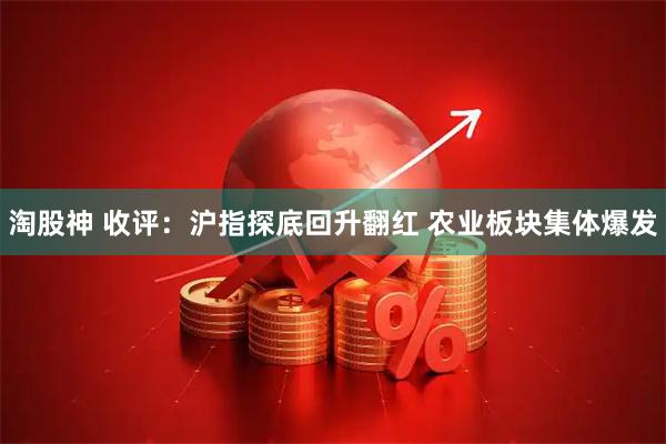 淘股神 收评：沪指探底回升翻红 农业板块集体爆发