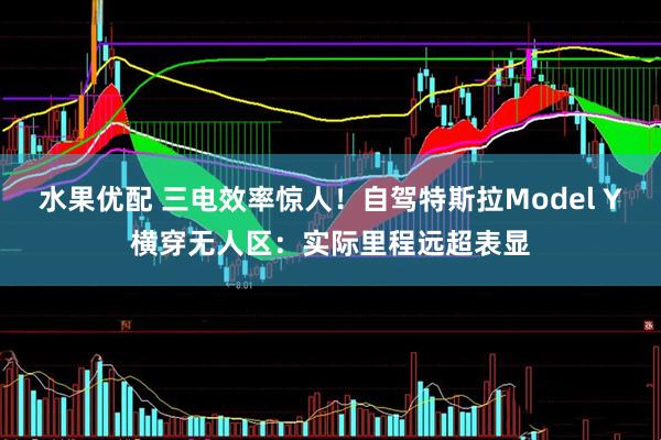 水果优配 三电效率惊人！自驾特斯拉Model Y横穿无人区：实际里程远超表显